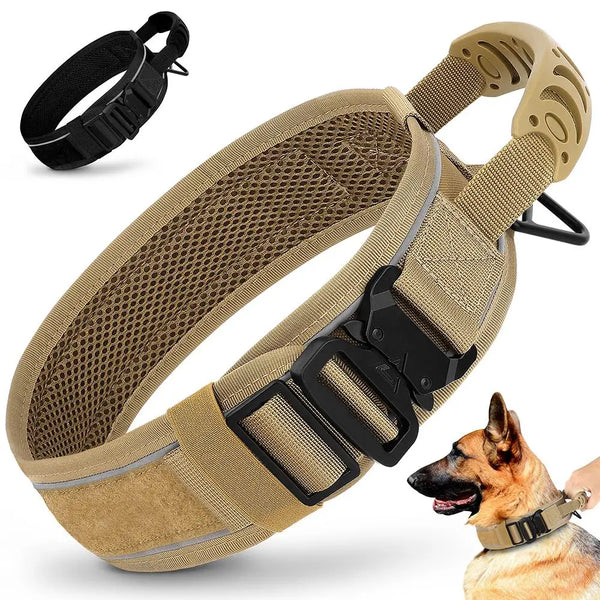 Tactical Control Nylon Dog Collar